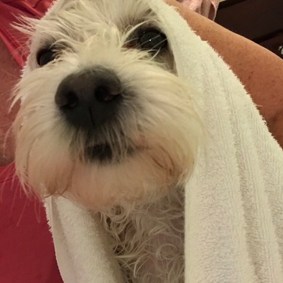 Meet your Posher, PLZ call me Sandy. Lol... - Picture 4 of 9